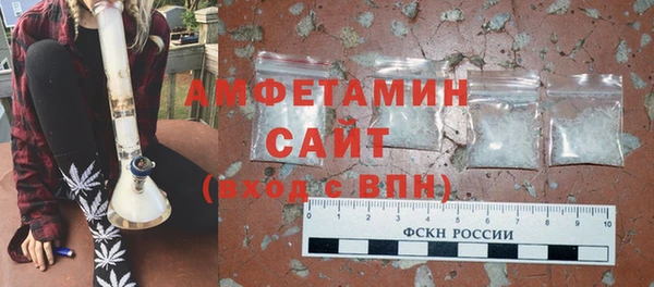 гашик Бородино
