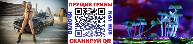 Псилоцибиновые грибы MAGIC MUSHROOMS  Новохопёрск 